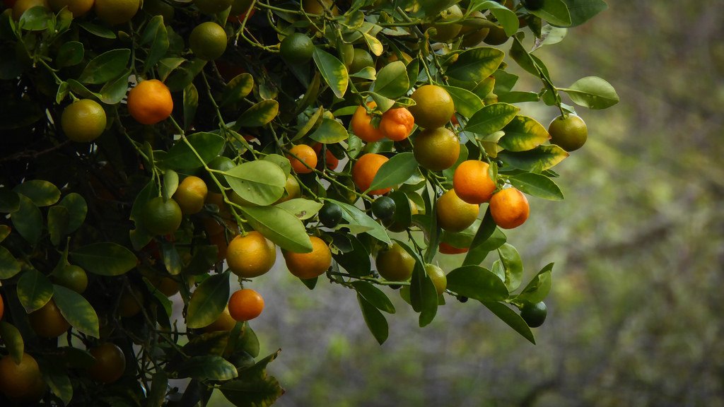首页| PP电子游戏中国区官方网站