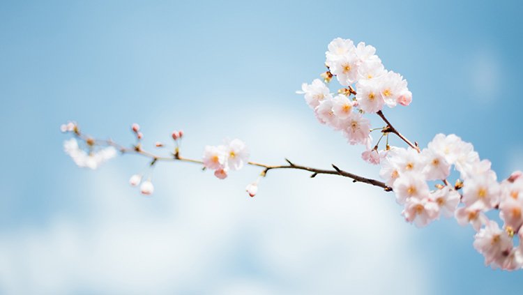 首页| PP电子游戏中国区官方网站