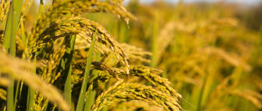 首页| PP电子游戏中国区官方网站