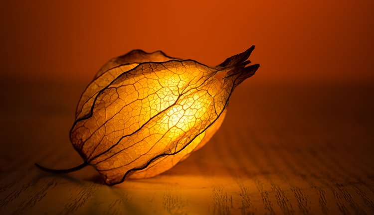 首页| PP电子游戏中国区官方网站