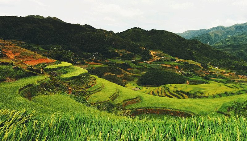 首页| PP电子游戏中国区官方网站